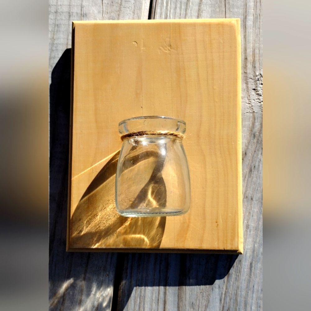 Cute Little Plant Hanger